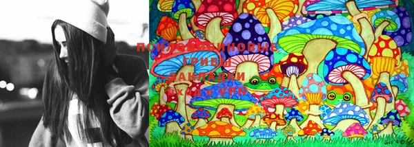 кокаин перу Инта